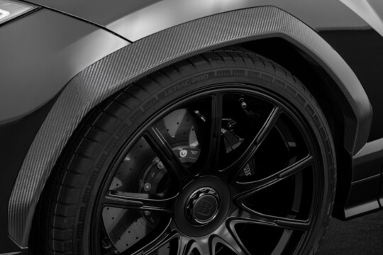 Carbon wheel arch extensions