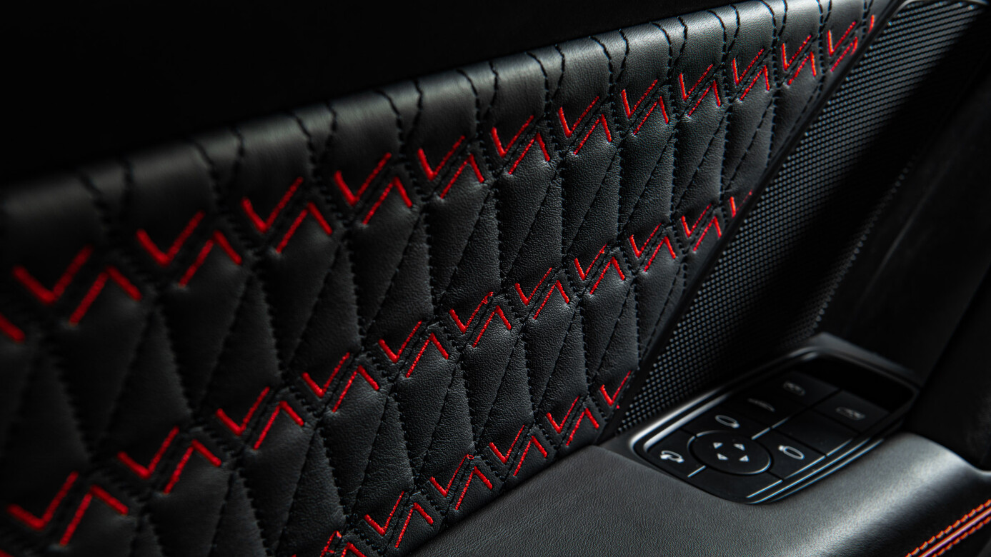 Türverkleidungen Leder 1