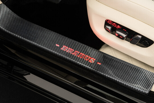 Einstiegsleisten Carbon