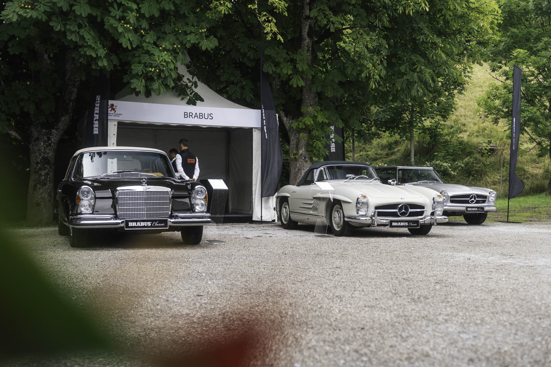 Concours of Elegance